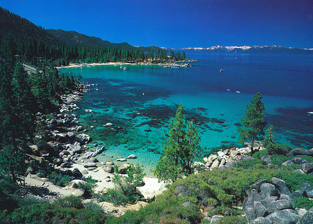 c0007918_0174714.jpg