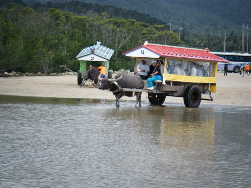 d0023818_8524348.jpg