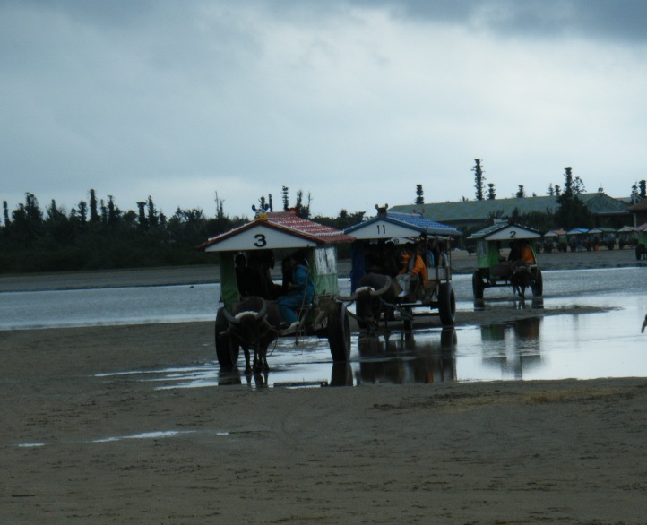d0023818_8531631.jpg