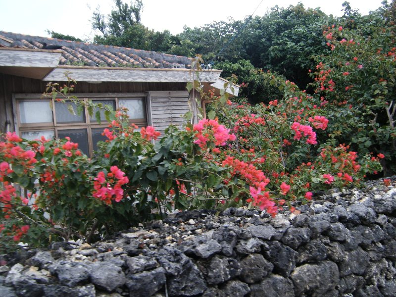 d0023818_8563747.jpg