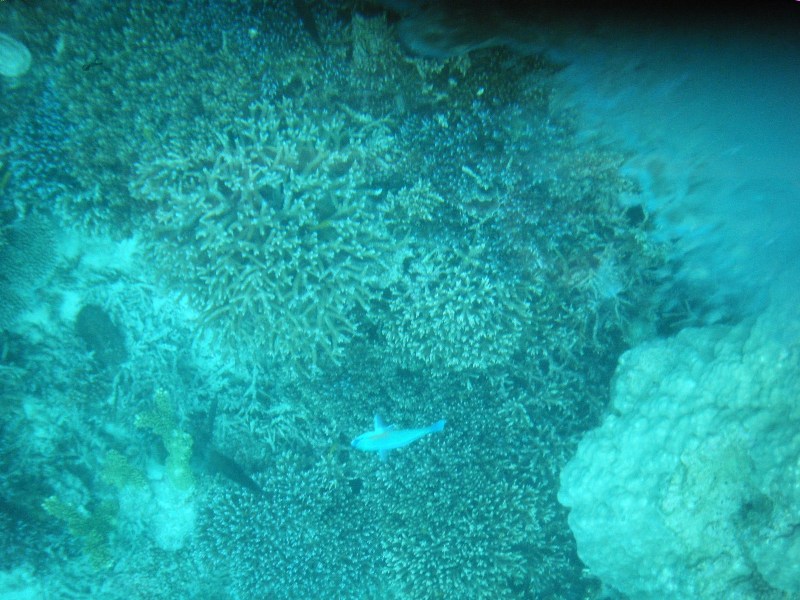 d0023818_9113318.jpg