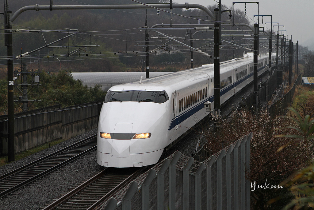 b0109027_1735453.jpg