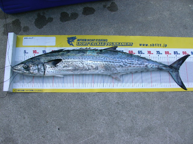 a0132631_23332244.jpg