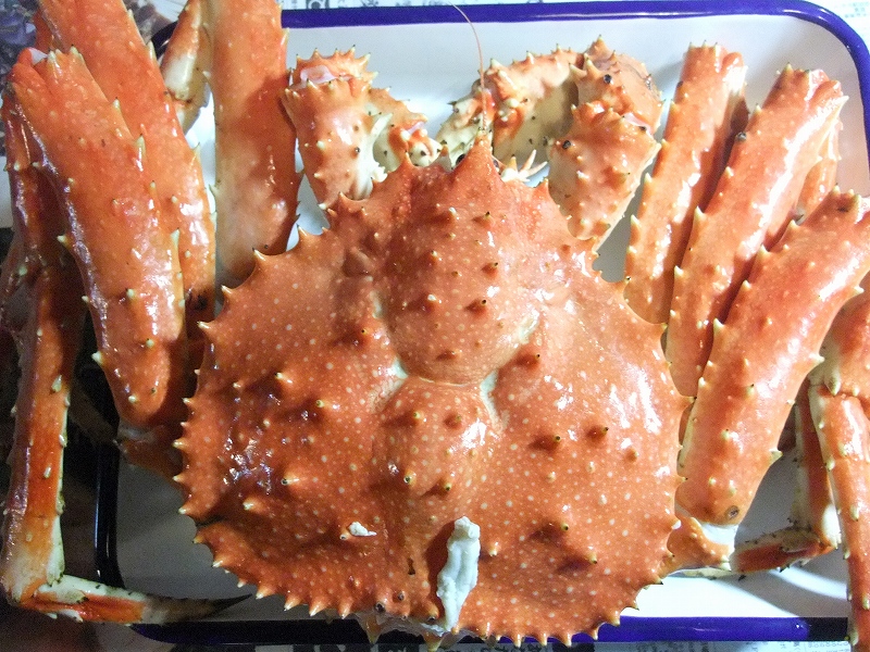 カニ！北海道ＤＡＹ１_f0050534_8555843.jpg