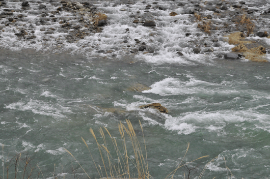 c0093046_17243169.gif