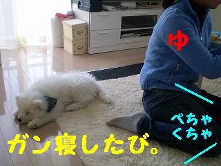 a0166954_2382041.jpg