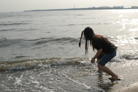 d0078563_77647.jpg