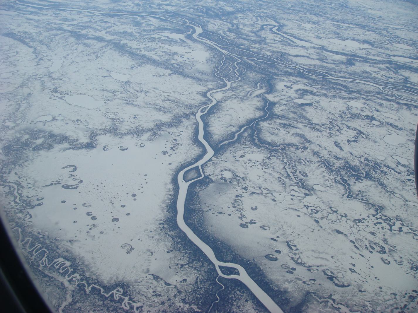 d0100880_21313679.jpg