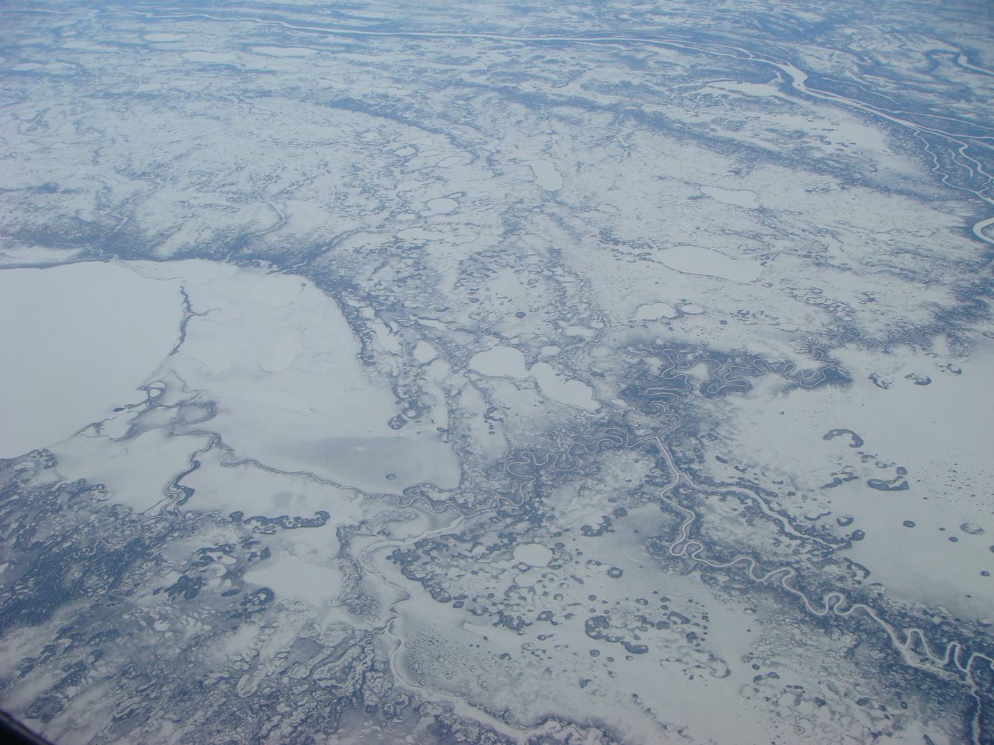 d0100880_21333871.jpg