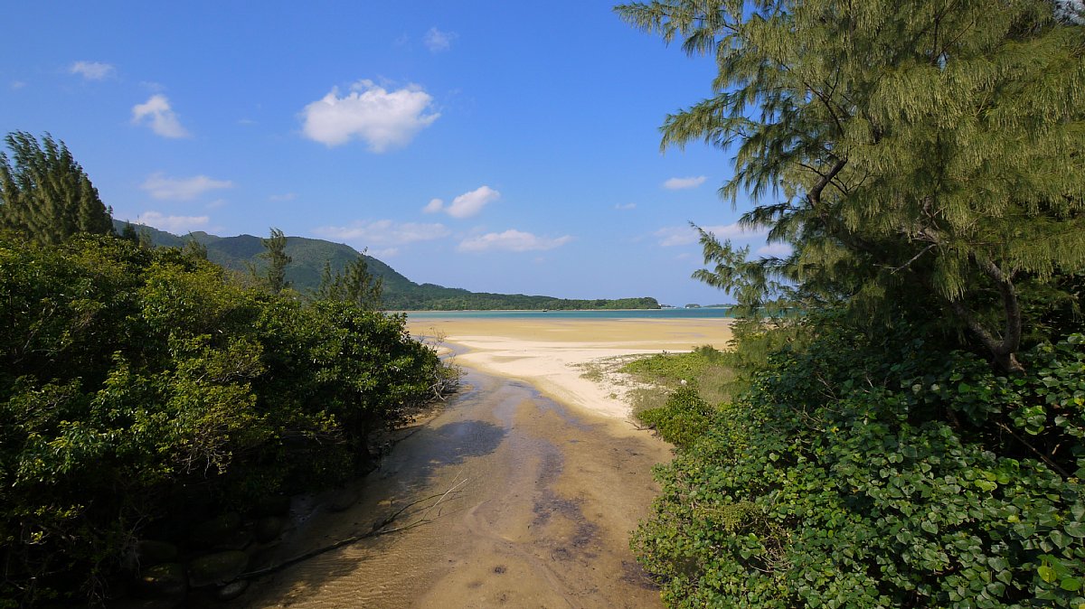 c0124795_1930198.jpg