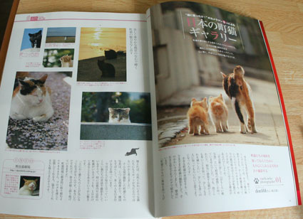 隔月間雑誌『猫生活』３月号に！小僧さんの写真が！！_d0071596_1113828.jpg