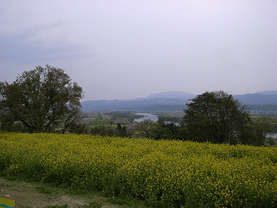 b0117406_1418532.gif