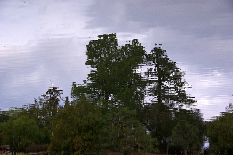 a0166609_2336354.jpg