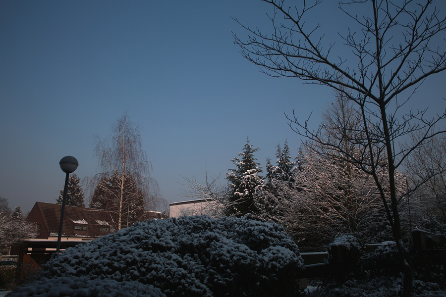 春節_b0148617_2331081.jpg