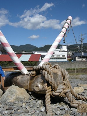諏訪湖 水陸両用バス ダックツアーに乗車しました 前半 なっちゃんのダイニング