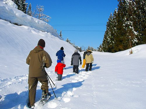 雪ほりワークショップ2010_c0015639_2055691.jpg