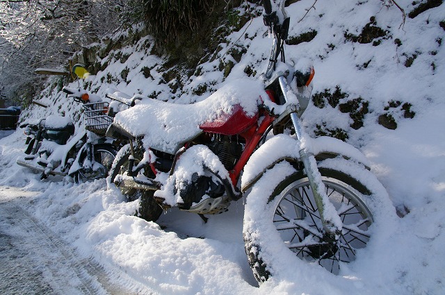 雪の奥多摩・御岳山_a0009142_1430641.jpg