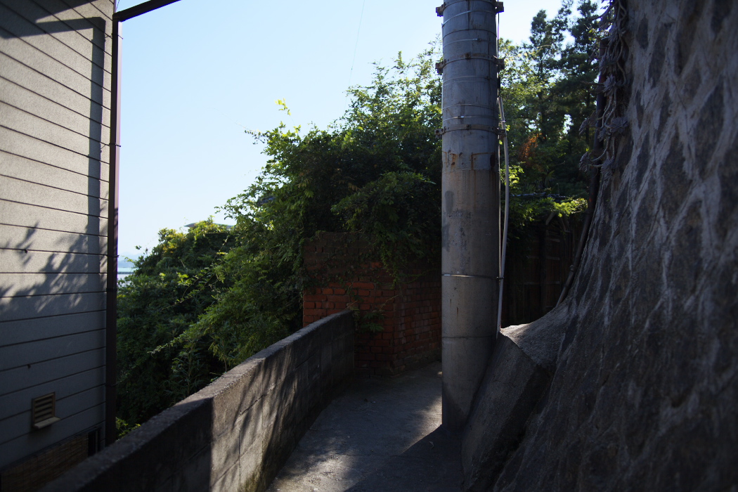 d0001745_011784.jpg