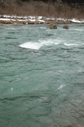 c0093046_844795.gif