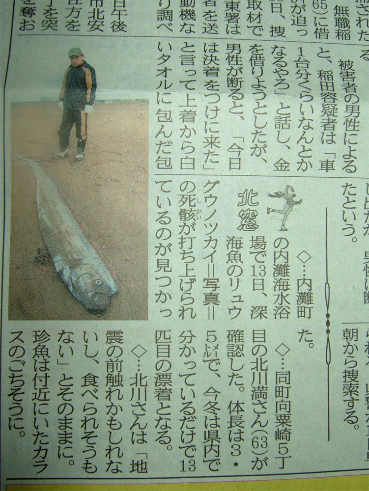 リュウグウノツカイ_c0110051_9375181.jpg