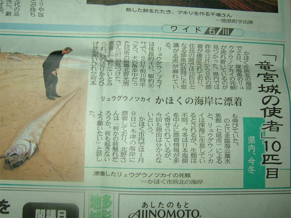 リュウグウノツカイ_c0110051_938699.jpg