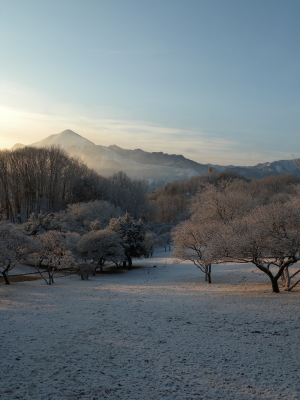 意外な雪絡み_b0177857_13204874.jpg