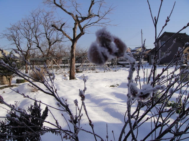 晴れ間の朝の残雪_c0108460_10435334.jpg