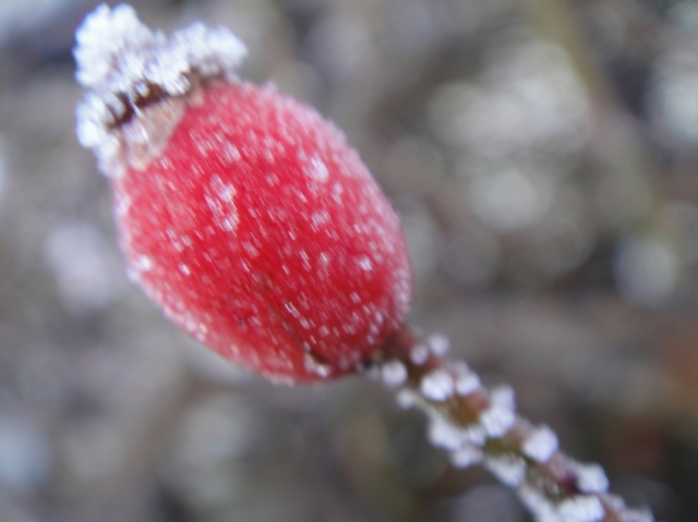 晴れ間の朝の残雪_c0108460_10454954.jpg