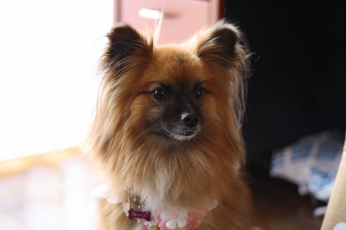 a0091865_22342440.jpg