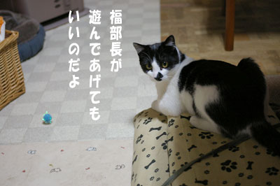 a0064067_16251.jpg