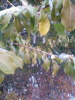 c0193269_21454356.jpg