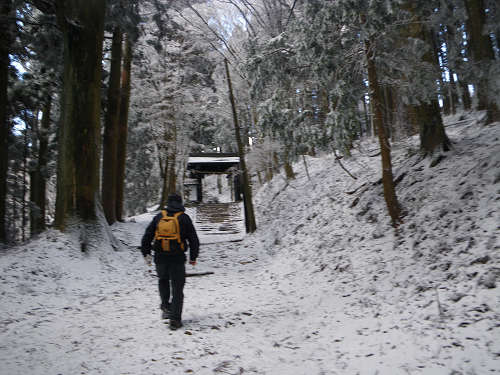 北山　愛宕山（廃線敷～山頂）_c0002874_20484296.jpg