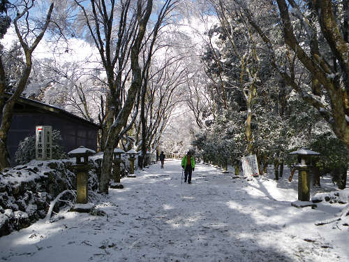 北山　愛宕山（廃線敷～山頂）_c0002874_2051991.jpg