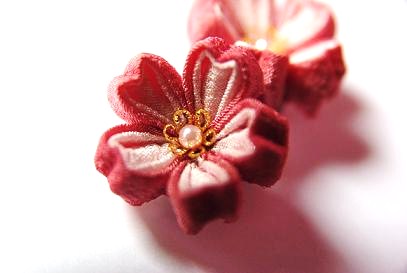 sakura..._c0122475_111849.jpg