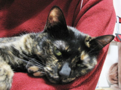 f0091785_12335965.jpg