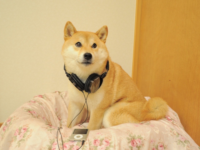 かぼちゃんもポニョみたいに_a0126590_2252377.jpg