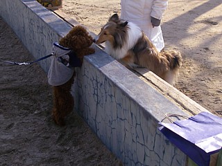 c0191390_22332747.jpg