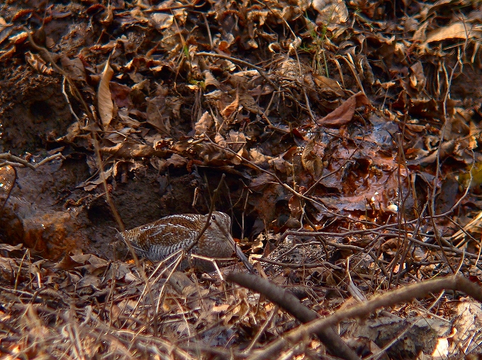 c0213690_2404057.jpg