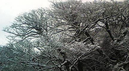 b0067795_1853573.jpg