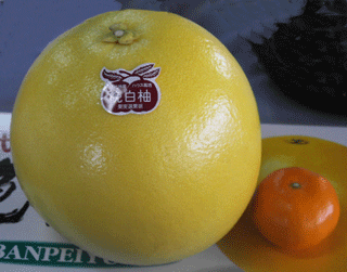 a0170099_1831982.gif