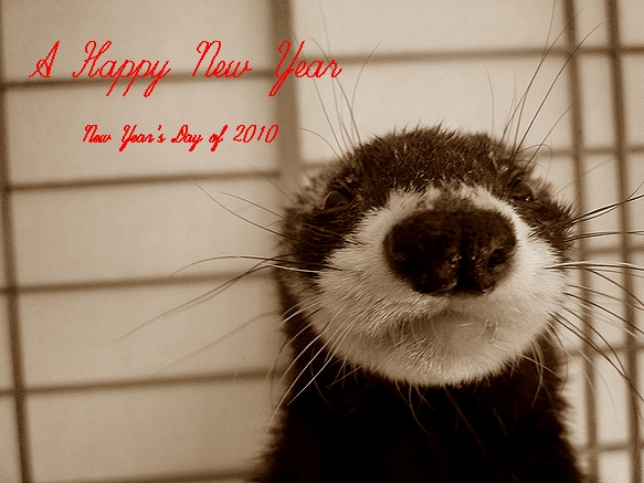 A HAPPY NEW YEAR_f0104799_22424243.jpg