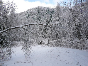 a0158702_17292663.jpg
