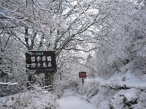 a0158702_17295684.jpg