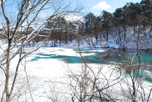 雪遊び旅行　その２　byシャンティ_a0134306_2241522.jpg