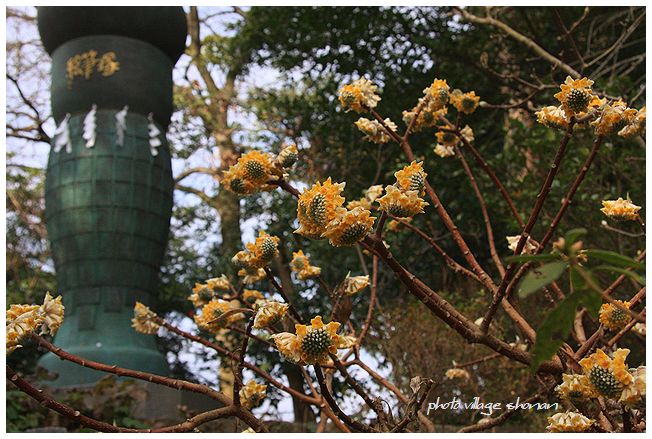 鎌倉散策寺院巡り　【荏柄天神社】 _d0137207_211584.jpg