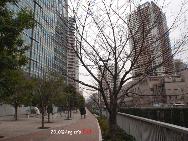 a0111917_14295066.gif