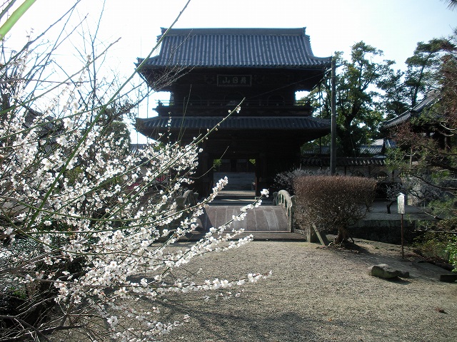 [NO.35 ] １０年　２月　例会　高伝寺_e0175717_1646230.jpg