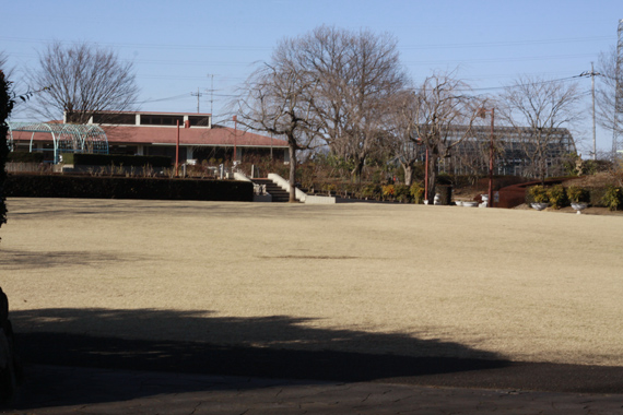 e0071225_155323.jpg