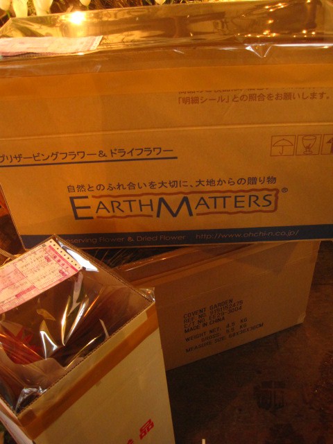 巻き入ってます。_c0102228_19473074.jpg