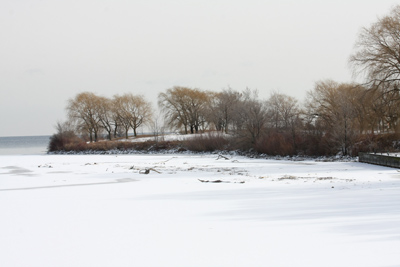 028 Humber Bay Shores Park ~今日も出会えた~_c0211532_850874.jpg
